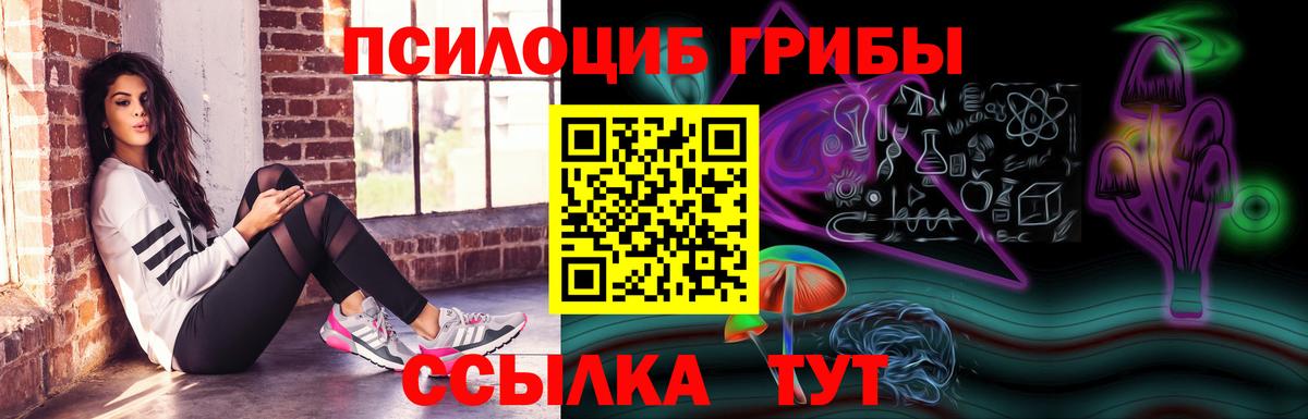 Дзержинский  Галлюциногенные грибы MAGIC MUSHROOMS  Галлюциногенные грибы MAGIC MUSHROOMS  Вход с VPN 